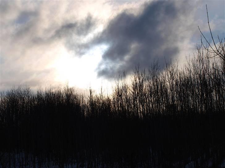 Første fotoshoot med mit nye kamera: Olympus E-420 spejlrefleks billede 2