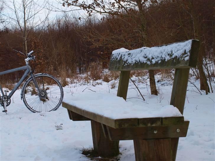 Første fotoshoot med mit nye kamera: Olympus E-420 spejlrefleks billede 10