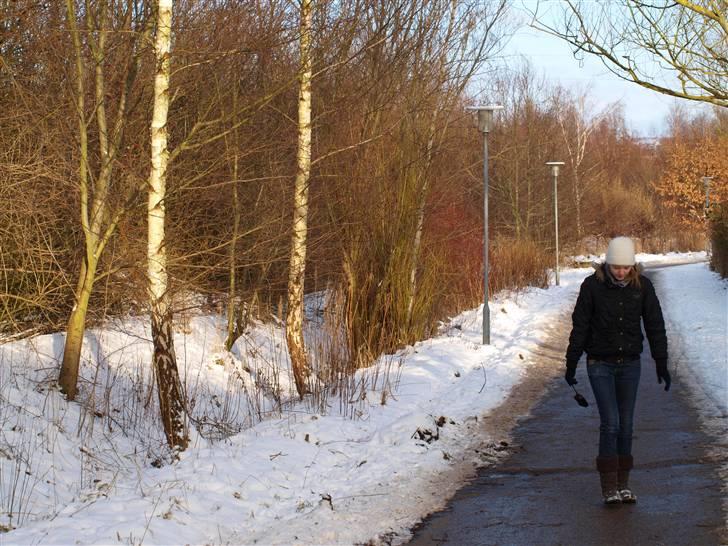 Første fotoshoot med mit nye kamera: Olympus E-420 spejlrefleks billede 20