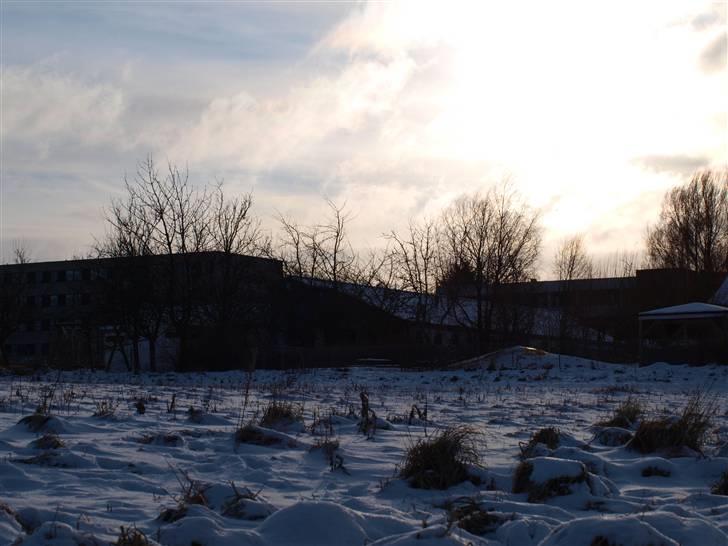 Første fotoshoot med mit nye kamera: Olympus E-420 spejlrefleks billede 25