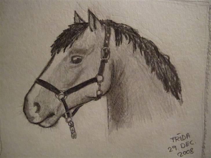 Tegninger  xD - Hest fra et blad. tegnet 29. dec. 2008, som også står på tegningen (: billede 27