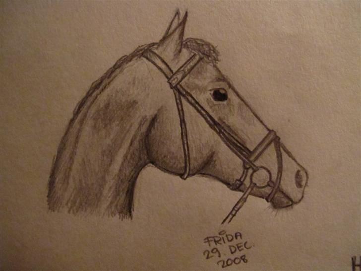 Tegninger  xD - Hest fra et blad. tegnet 29. dec. 2008, som også står på tegningen (: billede 28