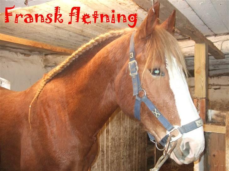 Guide - Fransk fletning - Model - Cota Friis (se profil!) billede 1