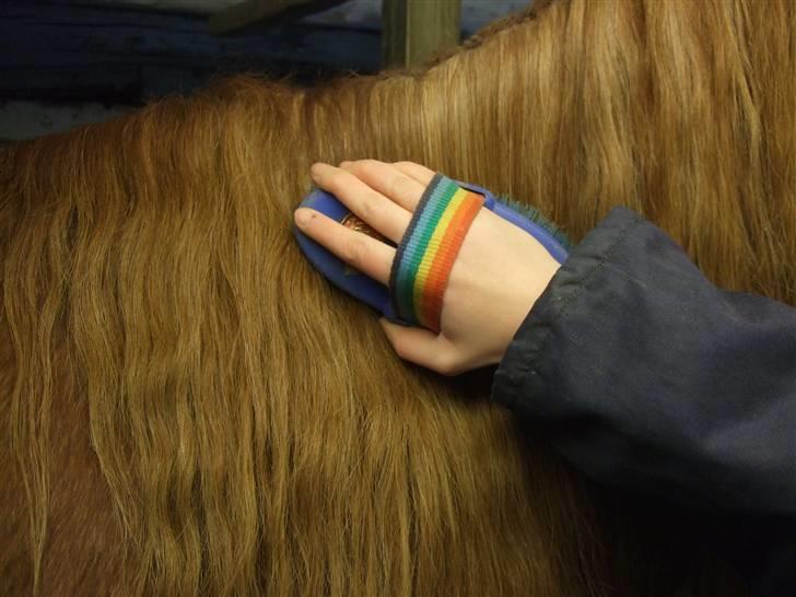 Guide - Fransk fletning - En blød børste giver lidt glans. billede 4