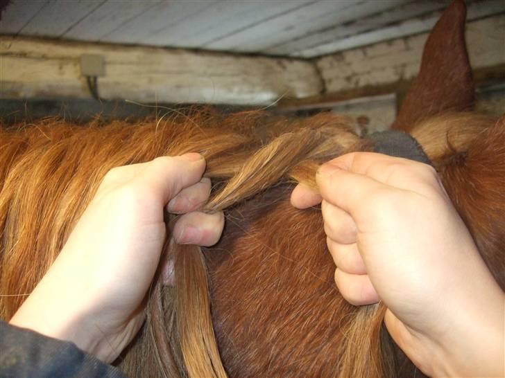 Guide - Fransk fletning - Kryds totten tættest på hovedet over den midterste tot. billede 6