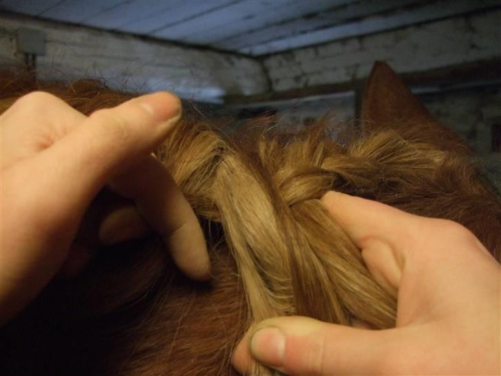 Guide - Fransk fletning - Kryds totten tættest på manken over den nye midterste tot, samtidig med du tager en ekstra tot ind ovenfra af den løse man. billede 7