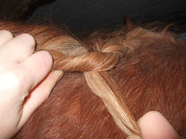 Guide - Fransk fletning - Kryds igen totten tættest på hovedet over den midterste. Dernæst "manke-totten" over den nye midterste igen, samtidig med du tager endnu en ny tot ind fra oven. billede 8