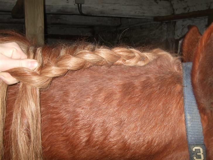 Guide - Fransk fletning - Fortsæt med at flette og tage mere man ind, som beskrevet tidligere. billede 9