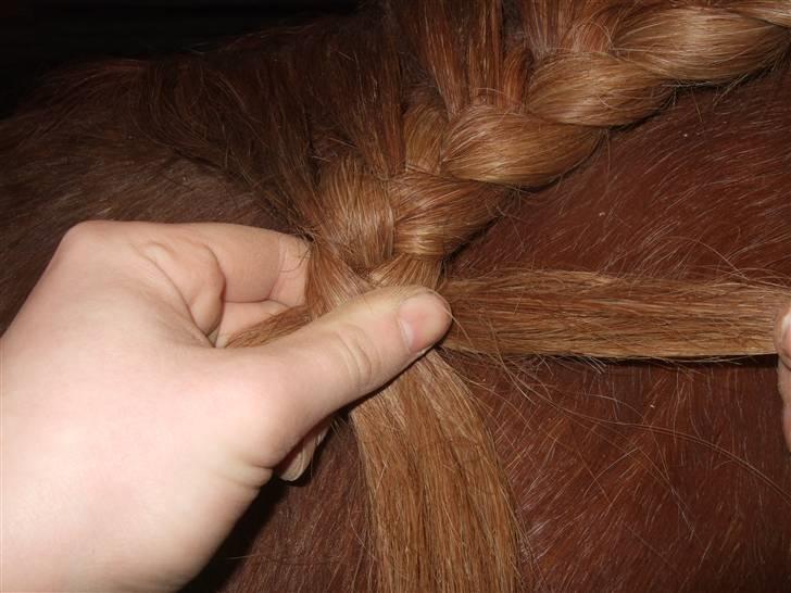 Guide - Fransk fletning - Ved vejs ende skal du flette ned som ved en ganske normal fletning. billede 11