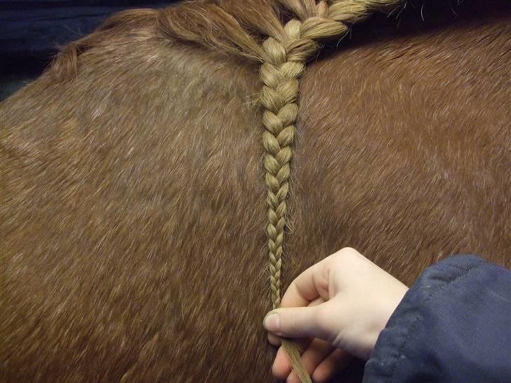 Guide - Fransk fletning - Flet helt ned, til du ikke kan mere. billede 12