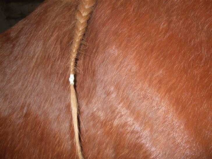 Guide - Fransk fletning - Sæt en elastik på enden, så den ikke løber op igen. billede 13