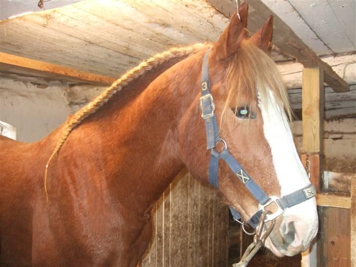 Guide - Fransk fletning - Det færdige resultat! billede 14