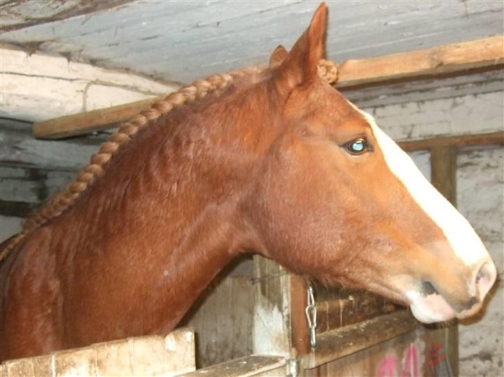 Guide - Fransk fletning - Cota Friis billede 15