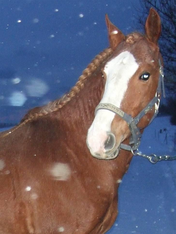 Guide - Fransk fletning - Cota Friis billede 16