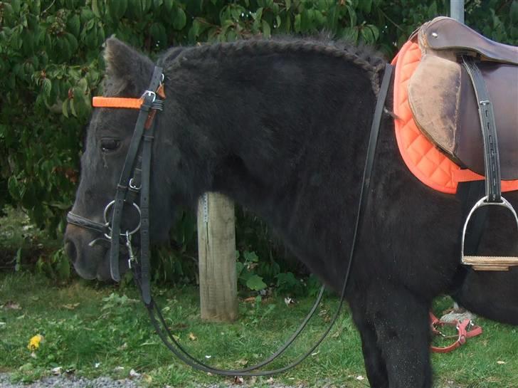 Guide - Fransk fletning - Tulle billede 18