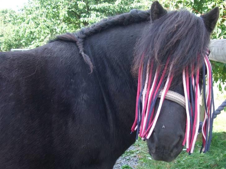 Guide - Fransk fletning - Lotte billede 20