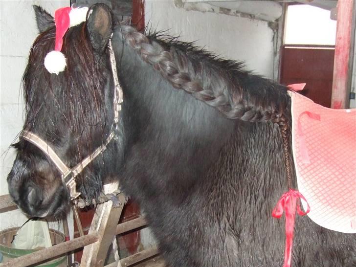 Guide - Fransk fletning - Múninn fra Lykkegården billede 21