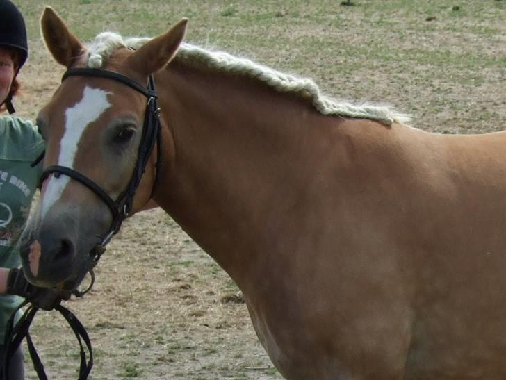 Guide - Fransk fletning - Aya billede 22