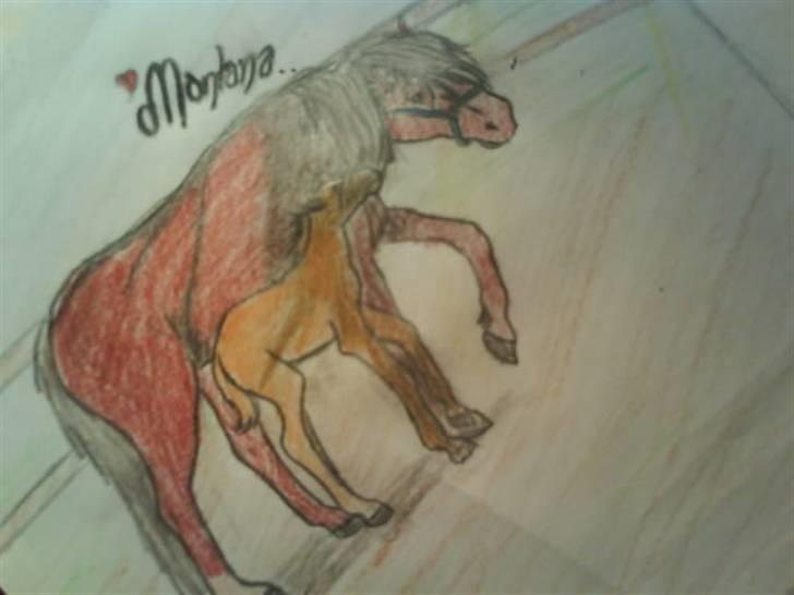 © Mine tegninger :) - Camillas haflinger, Montana :)
- Farverne blev ikke særlig gode, det beklager jeg.
Link: http://www.hestegalleri.dk/html/gal_visbil.asp?ID=126898 billede 53