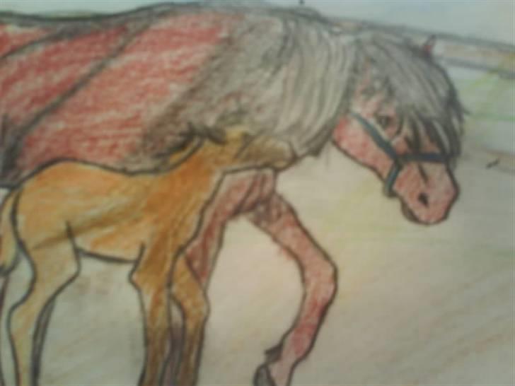 © Mine tegninger :) - Camillas haflinger, Montana :)
- Farverne blev ikke særlig gode, det beklager jeg.
Link: http://www.hestegalleri.dk/html/gal_visbil.asp?ID=126898 billede 54