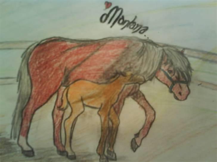 © Mine tegninger :) - Camillas haflinger, Montana :)
- Farverne blev ikke særlig gode, det beklager jeg.
Link: http://www.hestegalleri.dk/html/gal_visbil.asp?ID=126898 billede 55