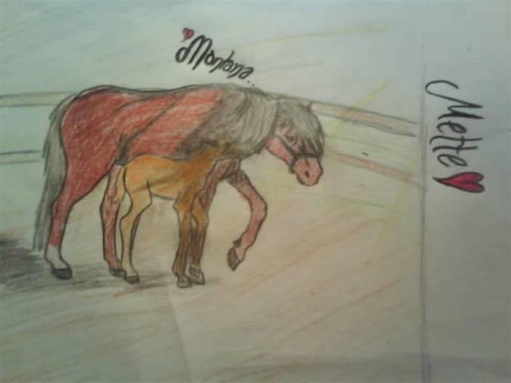 © Mine tegninger :) - Camillas haflinger, Montana :)
- Farverne blev ikke særlig gode, det beklager jeg.
Link: http://www.hestegalleri.dk/html/gal_visbil.asp?ID=126898 billede 56
