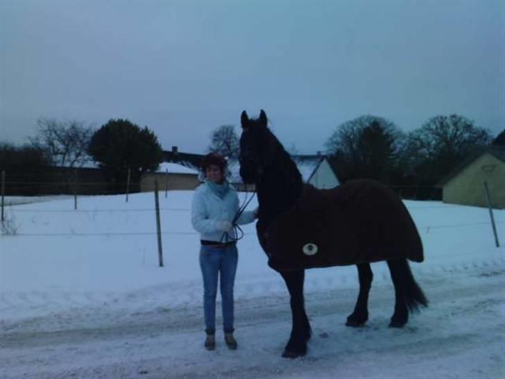 Kælke med minipony frederik, og famke. - Famke. billede 3