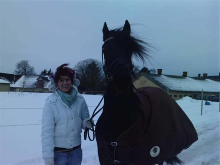 Kælke med minipony frederik, og famke. - Famke. billede 4