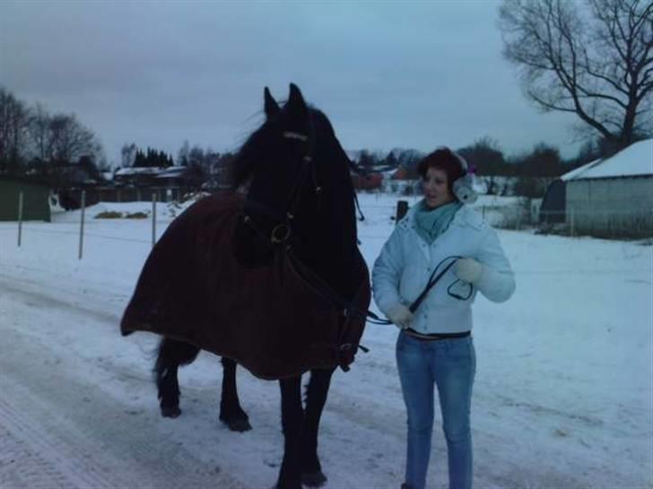 Kælke med minipony frederik, og famke. - Famke billede 5