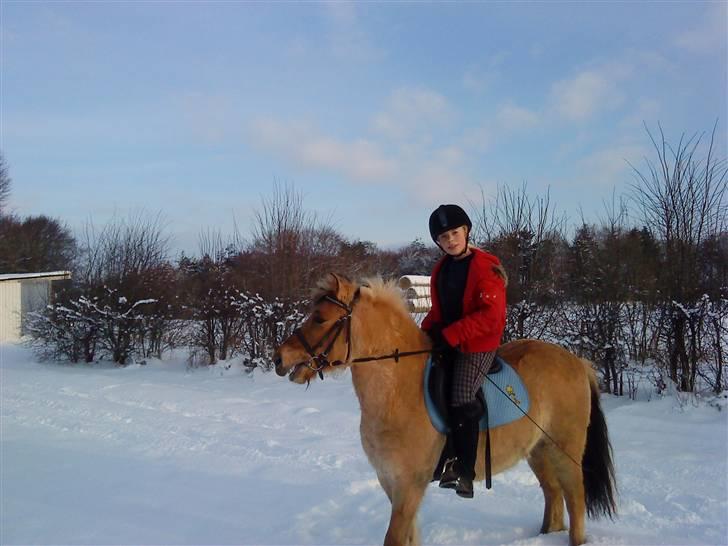 December 09 på Dansbjerg  - Kvik og rikke billede 1