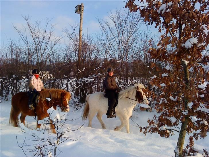 December 09 på Dansbjerg  - Marie og katrine på tur billede 2