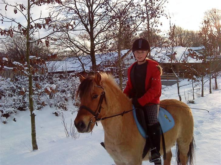 December 09 på Dansbjerg  - Kvik billede 6