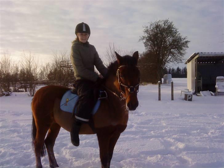 December 09 på Dansbjerg  - Lotte billede 8