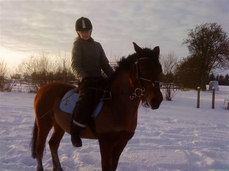 December 09 på Dansbjerg  - Lotte billede 9