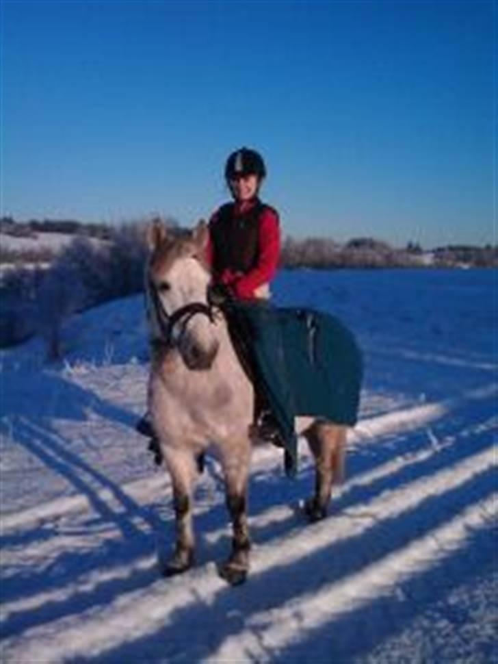 December 09 på Dansbjerg  - Bill billede 10