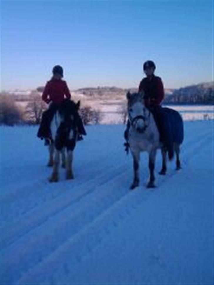 December 09 på Dansbjerg  - Rosa of mig billede 11