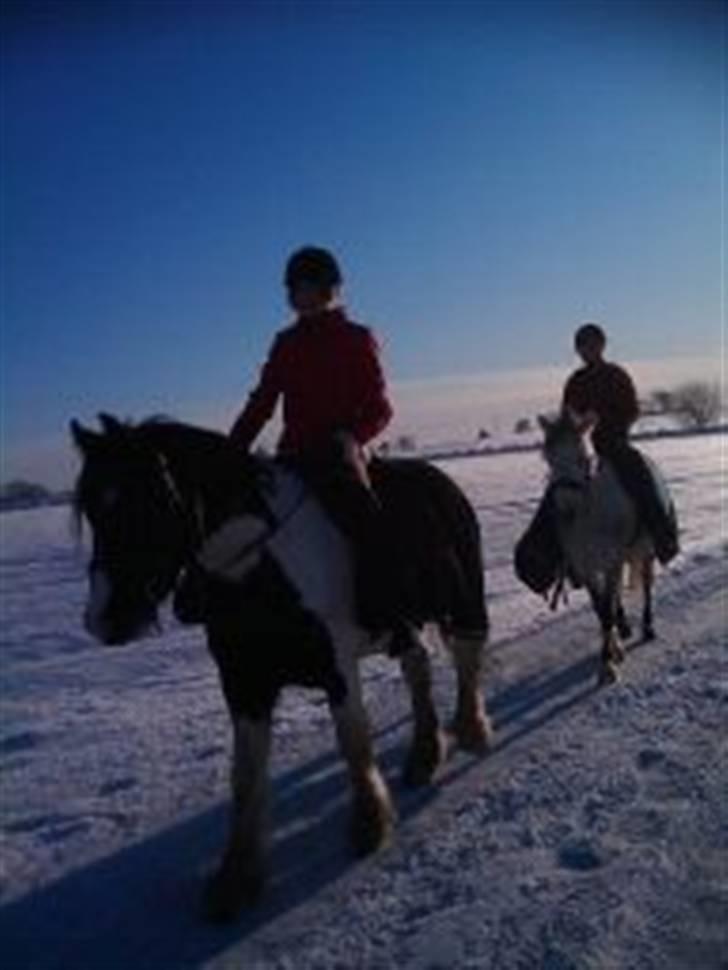 December 09 på Dansbjerg  - Rosa og mig billede 12