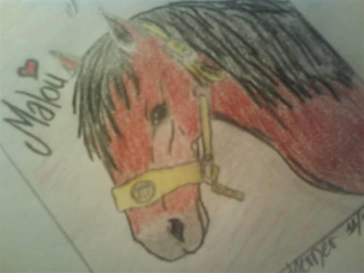 © Mine tegninger :) - Josefine Hammers 3'er pony, Malou :)
Det er med vilje, at der ikke ar baggrund ved, da jeg har meget travlt for tiden.
Link: http://www.hestegalleri.dk/html/gal_visbil.asp?ID=133998 billede 57