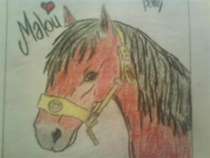 © Mine tegninger :) - Josefine Hammers 3'er pony, Malou :)
Det er med vilje, at der ikke ar baggrund ved, da jeg har meget travlt for tiden.
Link: http://www.hestegalleri.dk/html/gal_visbil.asp?ID=133998 billede 58