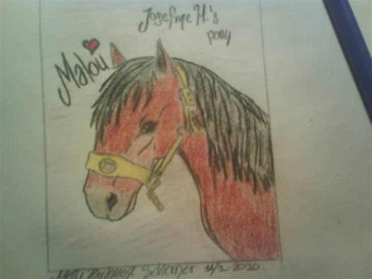 © Mine tegninger :) - Josefine Hammers 3'er pony, Malou :)
Det er med vilje, at der ikke ar baggrund ved, da jeg har meget travlt for tiden.
Link: http://www.hestegalleri.dk/html/gal_visbil.asp?ID=133998 billede 59