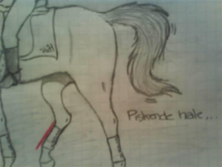 © Mine tegninger :) - Rollkür & taktfejl - Er IKKE noget jeg støtter! (Min mening om det, vil jeg ikke have kritik af, da det ikke er noget jeg føler for, skal diskuteres i mit album med min kreative side. Her skal udelukkende diskuteres tegningens udseende :D)

OBS: Den er ikke så god, eller man kan sige.. Den kunne være bedre, men jeg tegnede den i skolen i en "vildt spændende" time :) billede 61