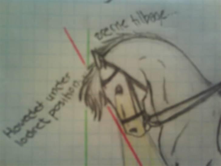 © Mine tegninger :) - Rollkür & taktfejl - Er IKKE noget jeg støtter! (Min mening om det, vil jeg ikke have kritik af, da det ikke er noget jeg føler for, skal diskuteres i mit album med min kreative side. Her skal udelukkende diskuteres tegningens udseende :D)

OBS: Den er ikke så god, eller man kan sige.. Den kunne være bedre, men jeg tegnede den i skolen i en "vildt spændende" time :) billede 64