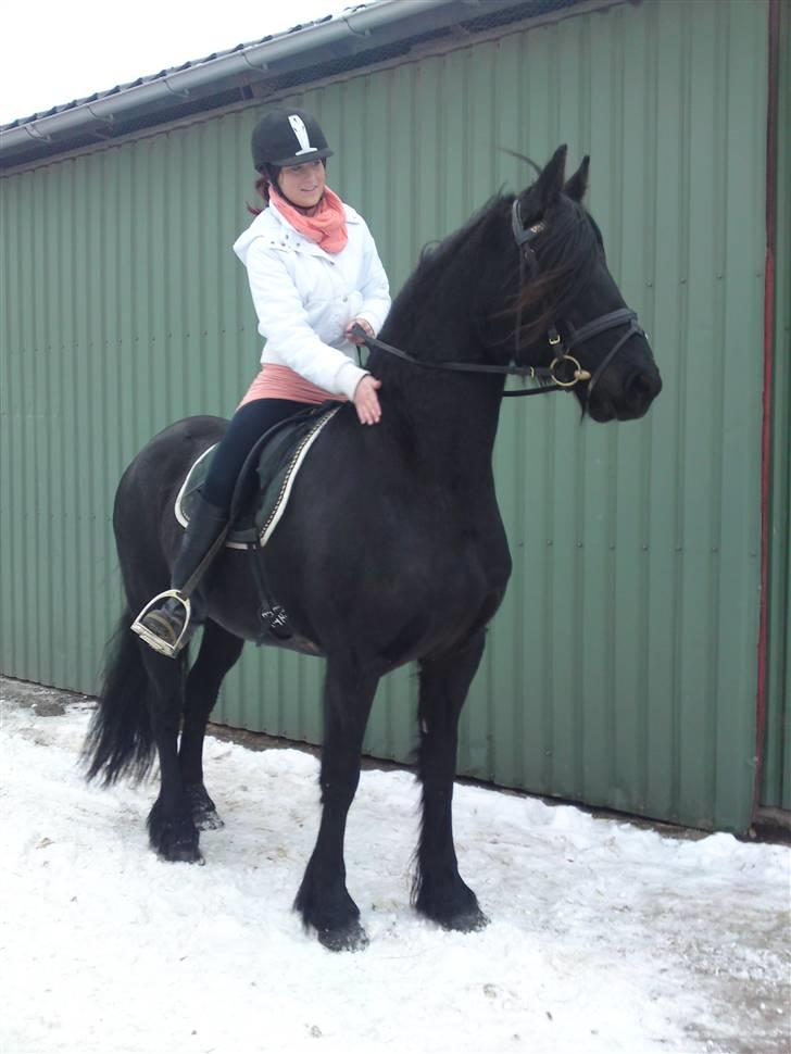 Kælke med minipony frederik, og famke. - Famke pige, første gang jeg var oppe at sidde og skridte på hende. hun er helt cool :) billede 1