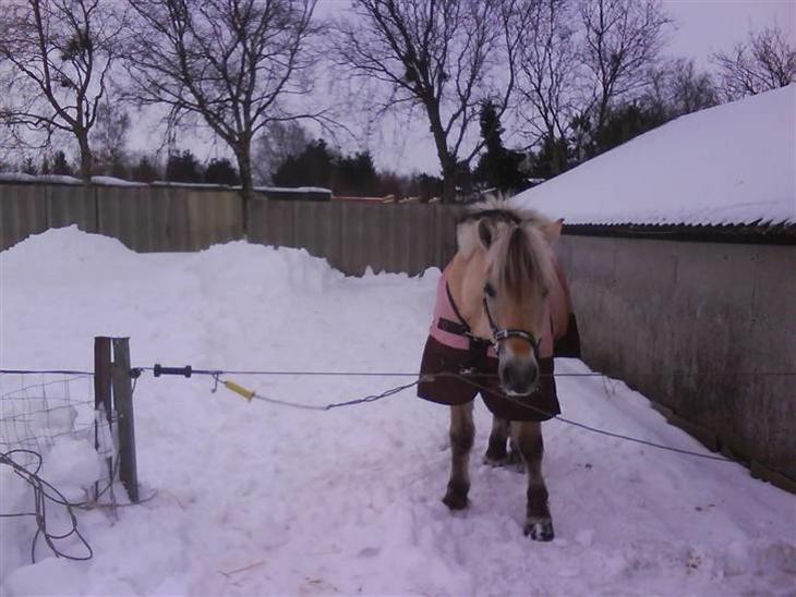 {{currentPhoto.altText}} billede {{currentPhoto.number}}