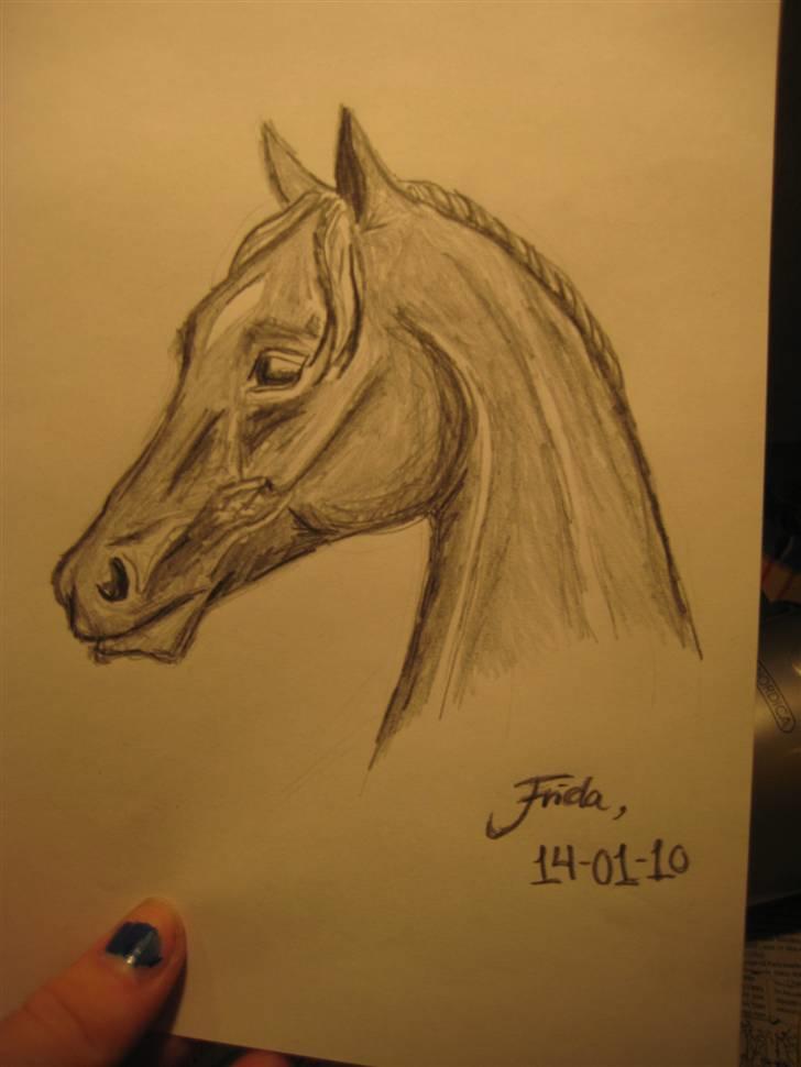 Tegninger  xD - Lidt hurtig tegning..men den tog da alligevel ½-time eller noget at tegne xD .. d; . der står dato på tegningen (; billede 31