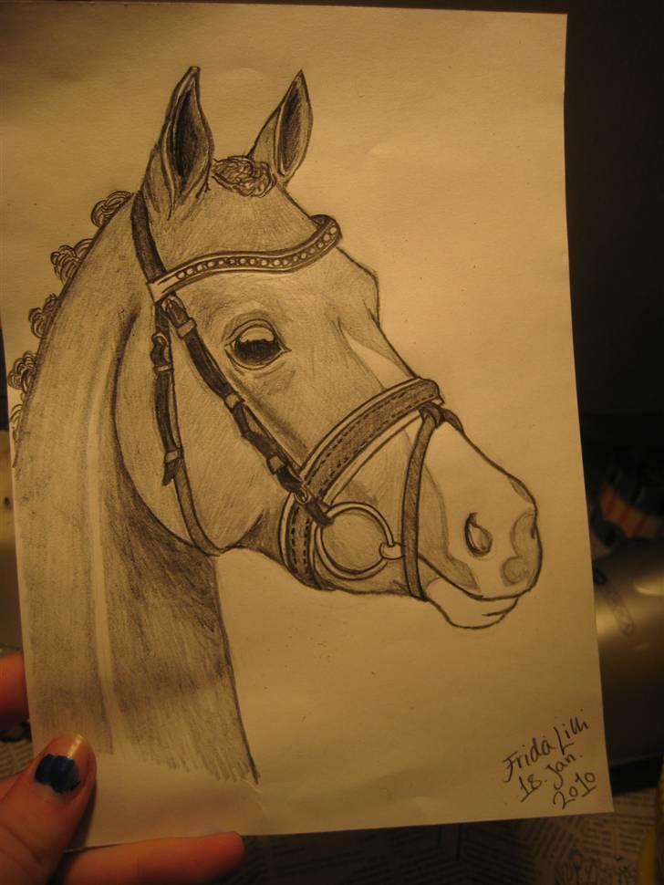 Tegninger  xD - Hest - inspireret af hest fra et blad men resten er "fantasi" - bl.a dens øjne som er ret store, og at den ikke har så mange detaljer:skygger osv d; . dato står på tegningen (; billede 33