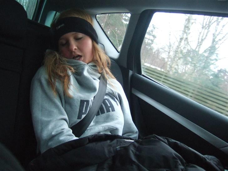 Tur til Rørvig/Paradisgården  - Celii er gået død i bilen på vej hjem .. billede 32