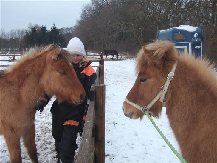 Tur til Rørvig/Paradisgården  - Ljúf prøver at opføre sig som en gentleman, da han opdager at hans nye flirts mormor er tilstede :O billede 31