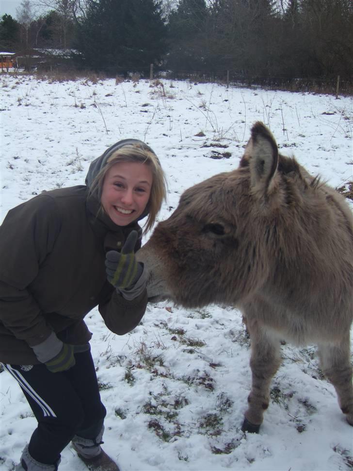 Tur til Rørvig/Paradisgården  - Første gang Tas nogensinde rør et æsel .. hun er meget stolt.. og lidt bange.. billede 29