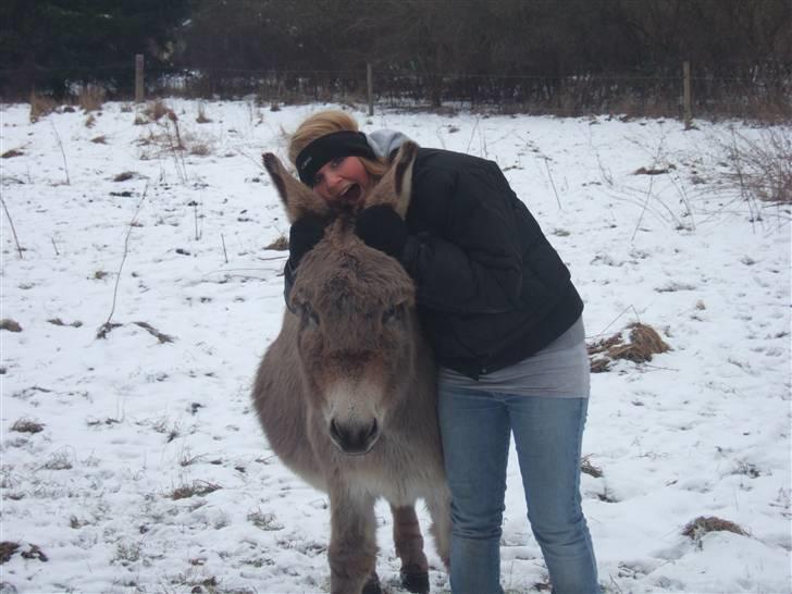 Tur til Rørvig/Paradisgården  - Åhh nej Celia fandt et æsel.. billede 28